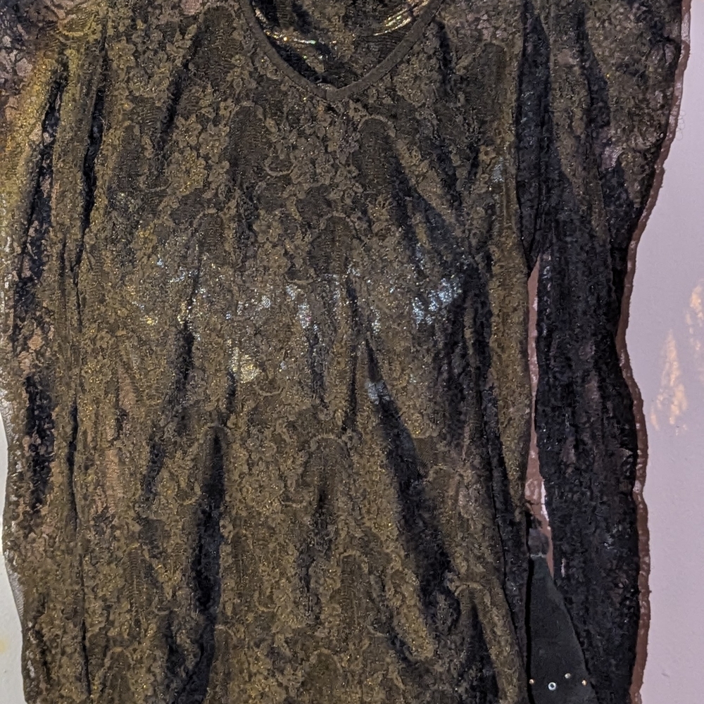 Body Central Black Sheer Lace V-Neck Blouse